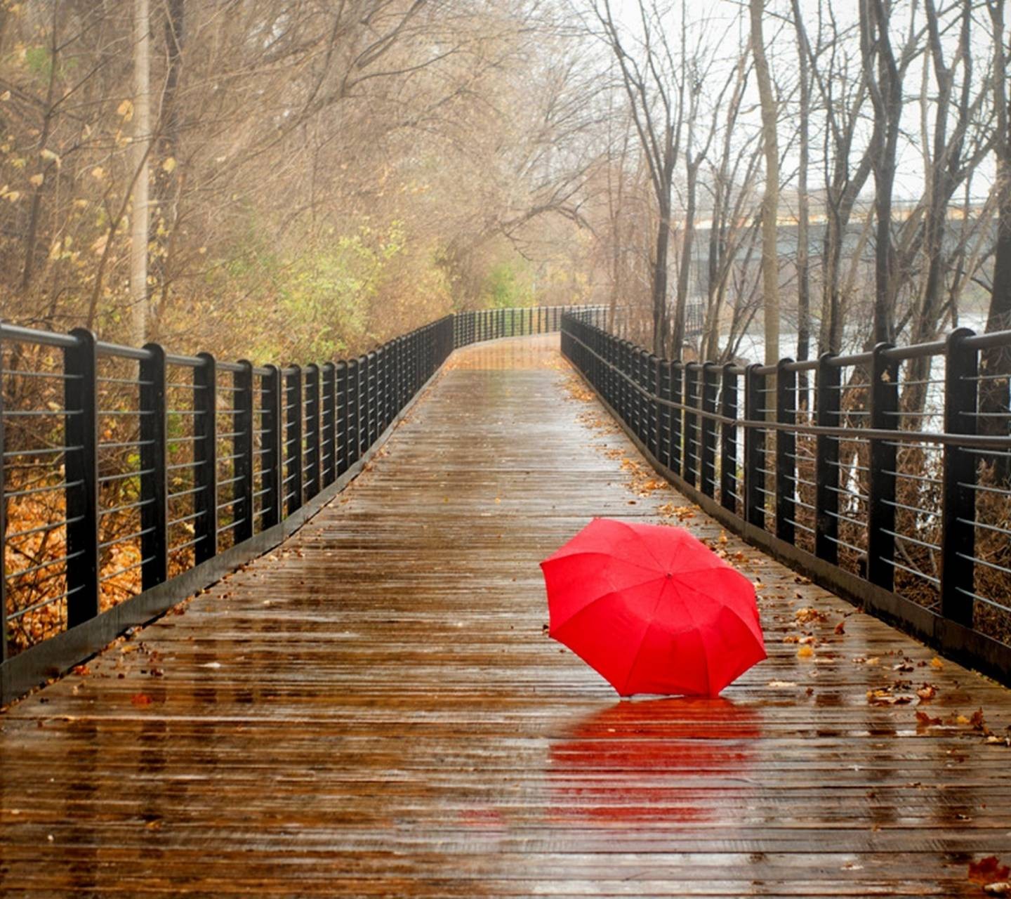 她在雨里说海报